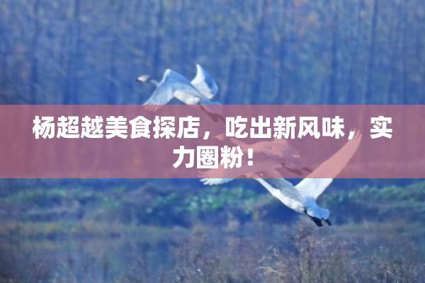 杨超越美食探店，吃出新风味，实力圈粉！