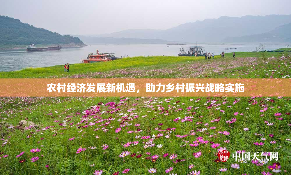 农村经济发展新机遇，助力乡村振兴战略实施