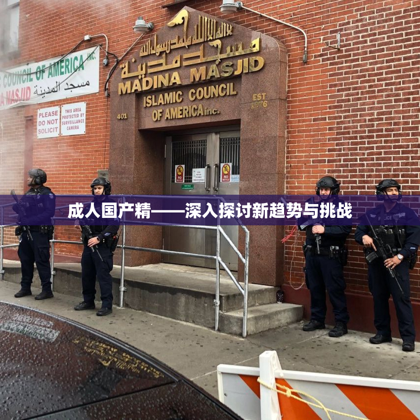 成人国产精——深入探讨新趋势与挑战