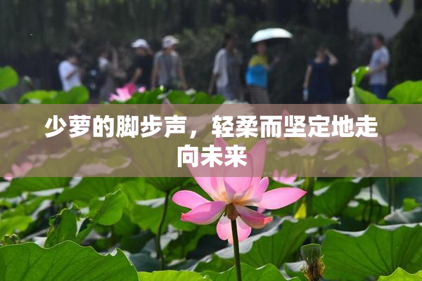 少萝的脚步声，轻柔而坚定地走向未来