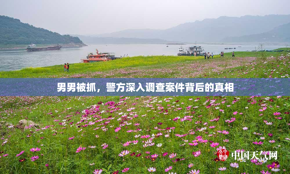 男男被抓，警方深入调查案件背后的真相