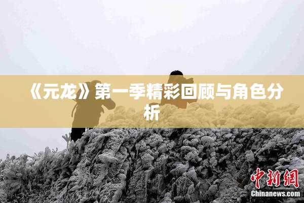 《元龙》第一季精彩回顾与角色分析