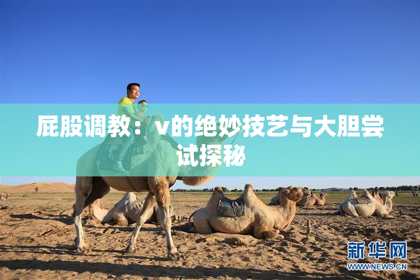 屁股调教：v的绝妙技艺与大胆尝试探秘