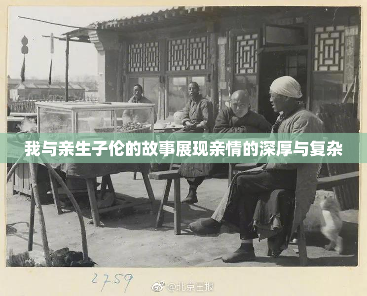 我与亲生子伦的故事展现亲情的深厚与复杂