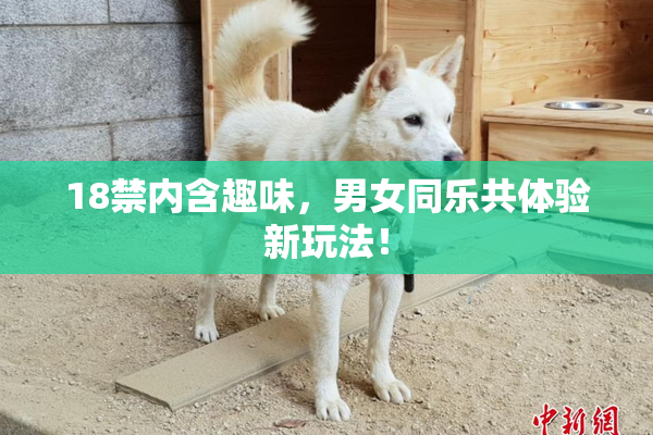 18禁内含趣味，男女同乐共体验新玩法！