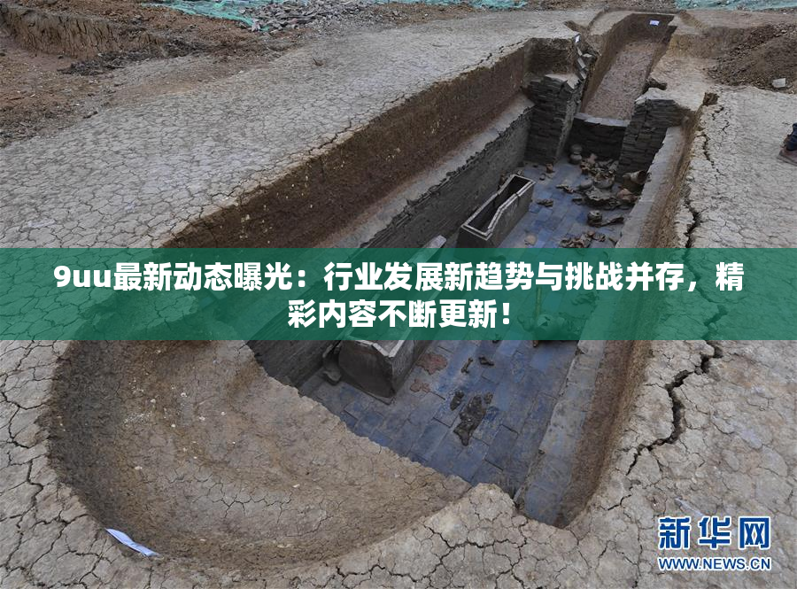 9uu最新动态曝光：行业发展新趋势与挑战并存，精彩内容不断更新！