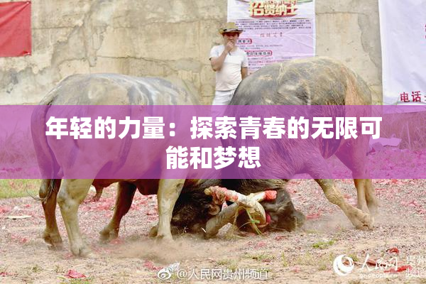 年轻的力量：探索青春的无限可能和梦想