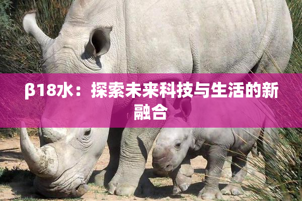 β18水：探索未来科技与生活的新融合