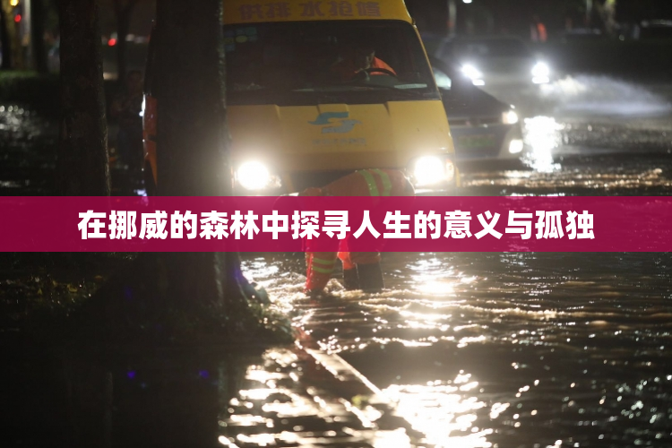 在挪威的森林中探寻人生的意义与孤独