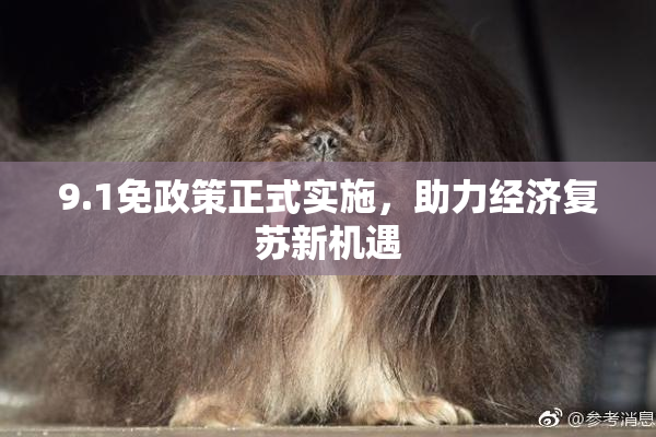 9.1免政策正式实施，助力经济复苏新机遇