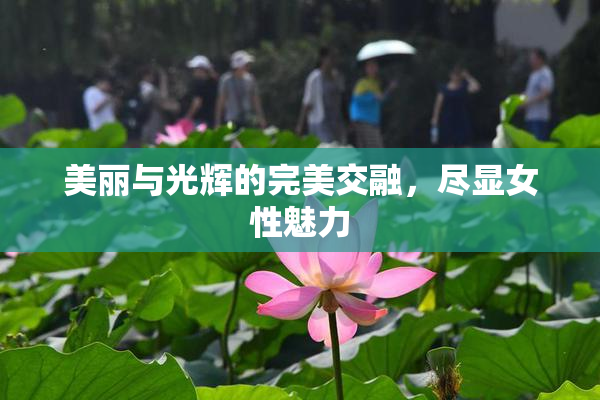 美丽与光辉的完美交融，尽显女性魅力