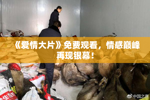 《爱情大片》免费观看，情感巅峰再现银幕！