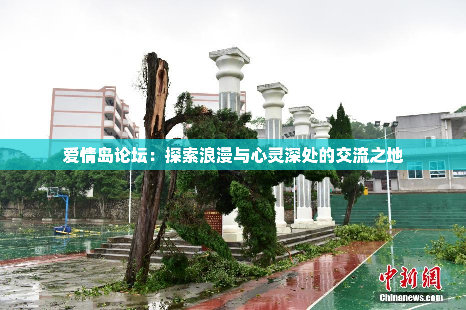 爱情岛论坛：探索浪漫与心灵深处的交流之地