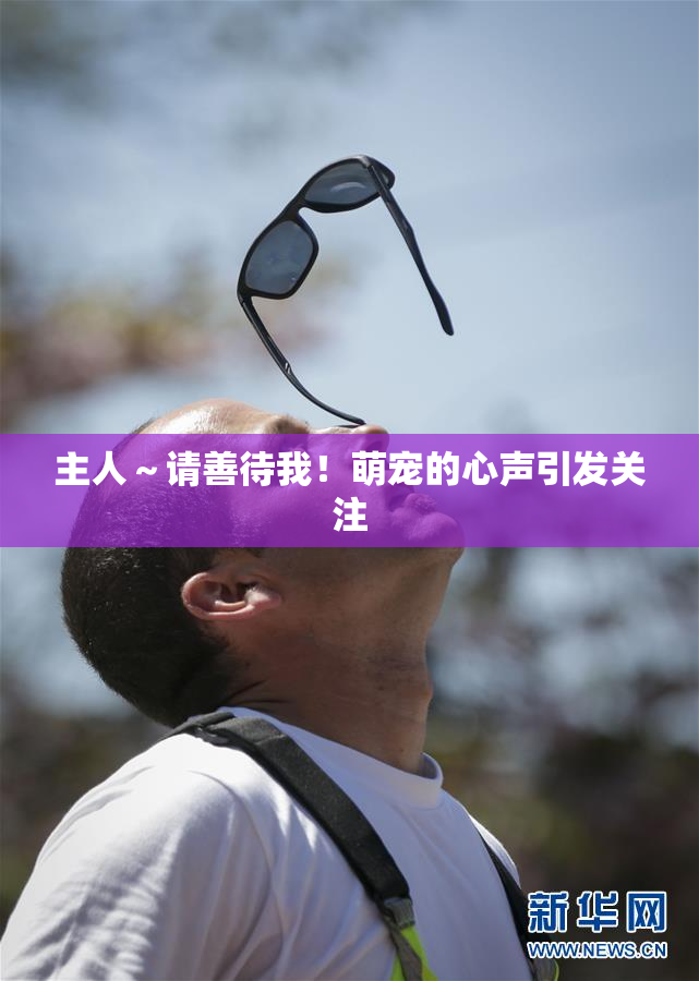 主人～请善待我！萌宠的心声引发关注