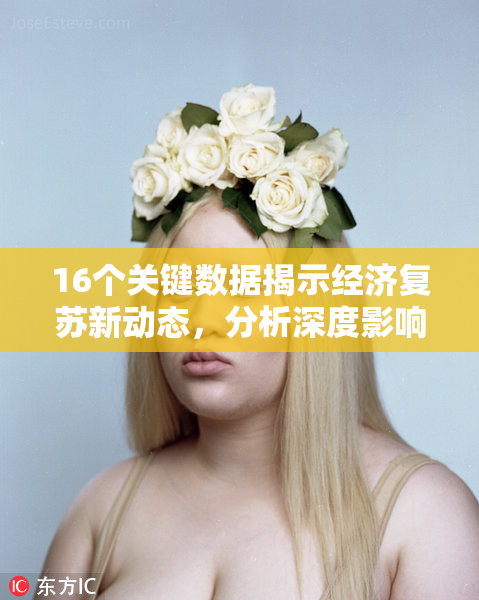 16个关键数据揭示经济复苏新动态，分析深度影响未来走向