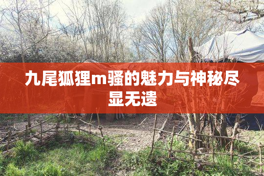 九尾狐狸m骚的魅力与神秘尽显无遗