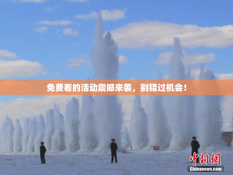 免费看的活动震撼来袭，别错过机会！