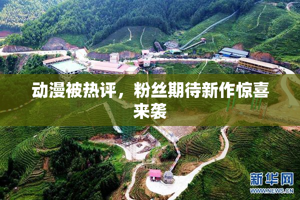 动漫被热评，粉丝期待新作惊喜来袭