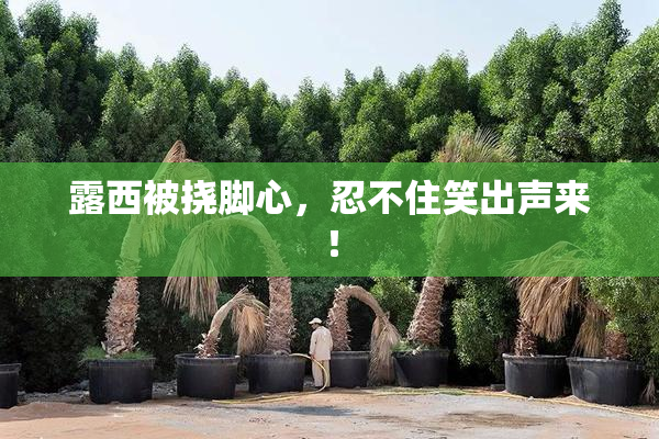 露西被挠脚心，忍不住笑出声来！