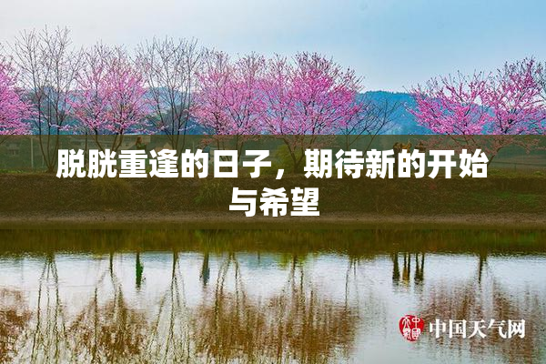 脱胱重逢的日子，期待新的开始与希望