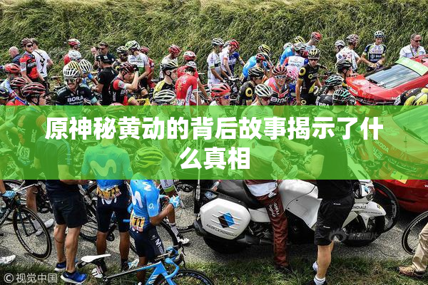 原神秘黄动的背后故事揭示了什么真相