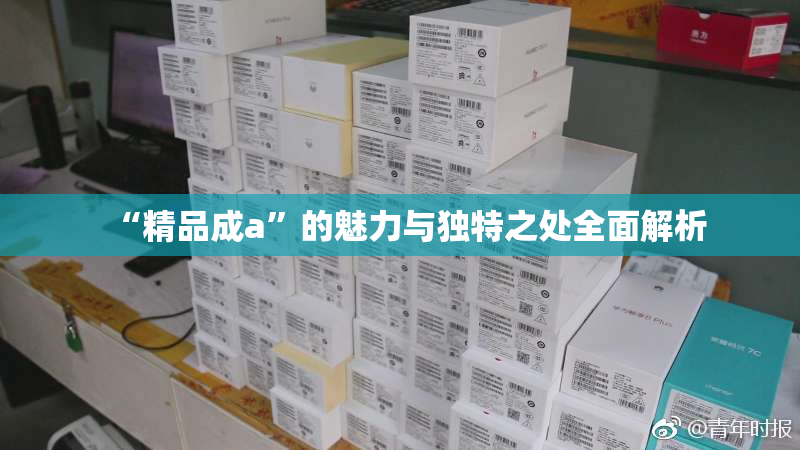 “精品成a”的魅力与独特之处全面解析