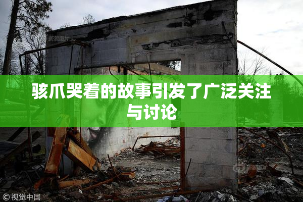 骇爪哭着的故事引发了广泛关注与讨论